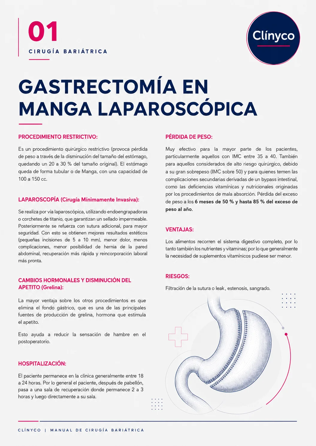 Manga gástrica